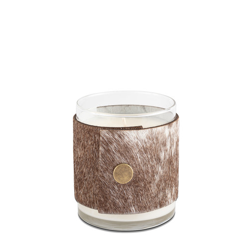 Mountain Aire 10 oz Candle